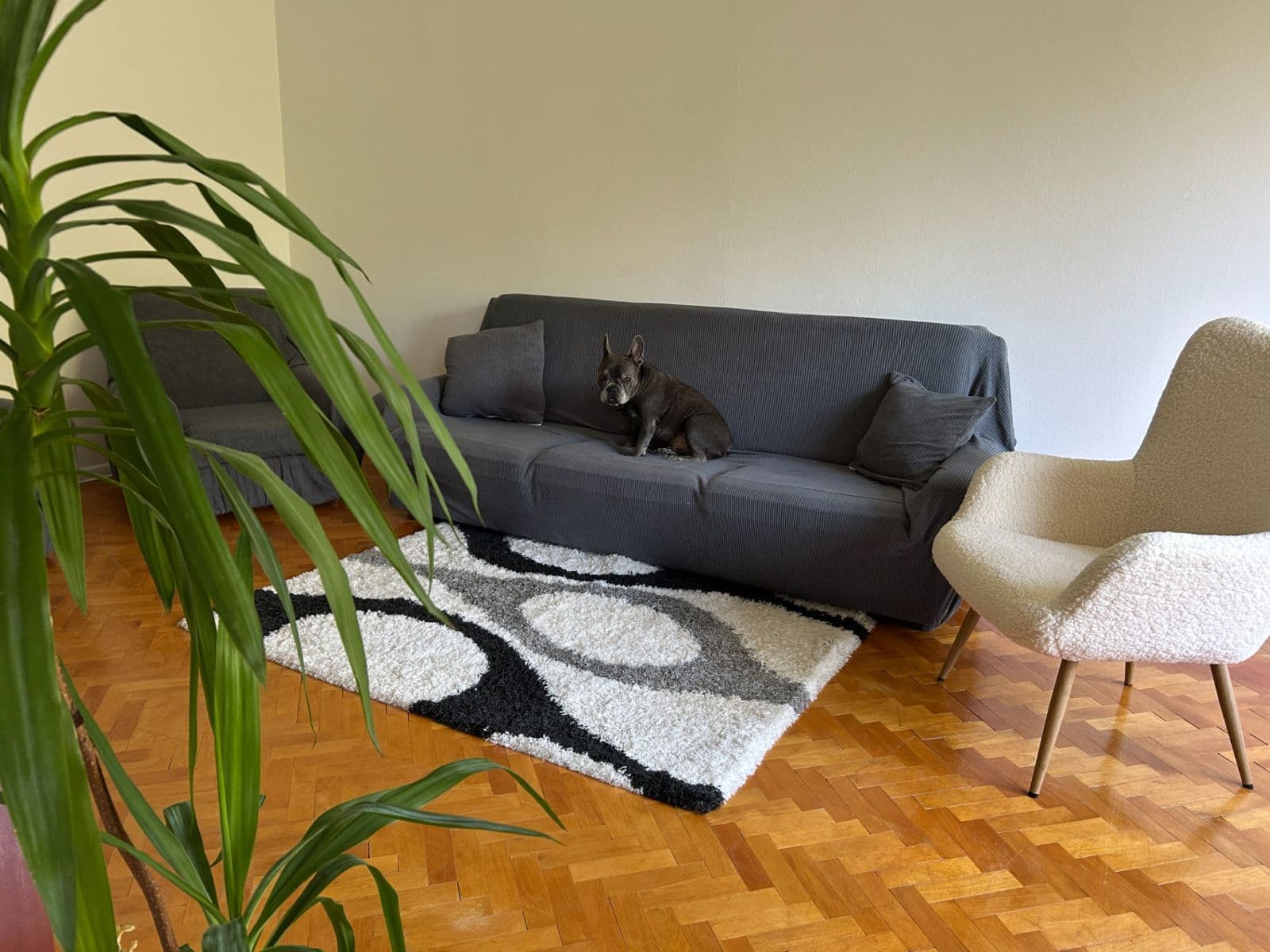 Pronájem bytu 2+1 66 m², Hlinská, Žilina, Žilinský kraj Pronájem bytu 2+1 66 m², Hlinská, Žilina, Žilinský kraj