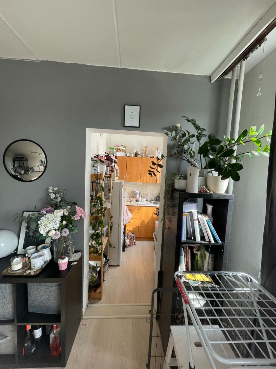Pronájem bytu 1+1 30 m², Benkova, Praha, Praha Pronájem bytu 1+1 30 m², Benkova, Praha, Praha