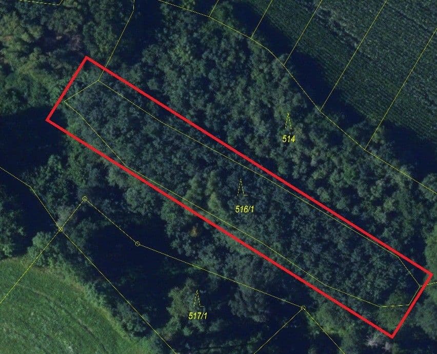 Prodej pozemku 5.705 m², Žernovník, Jihomoravský kraj Prodej pozemku 5.705 m², Žernovník, Jihomoravský kraj