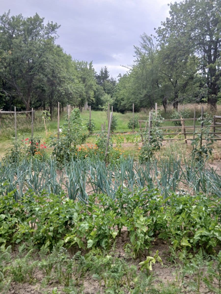 Prodej domu 95 m², pozemek 2.793 m², Slavonice, Jihočeský kraj Prodej domu 95 m², pozemek 2.793 m², Slavonice, Jihočeský kraj