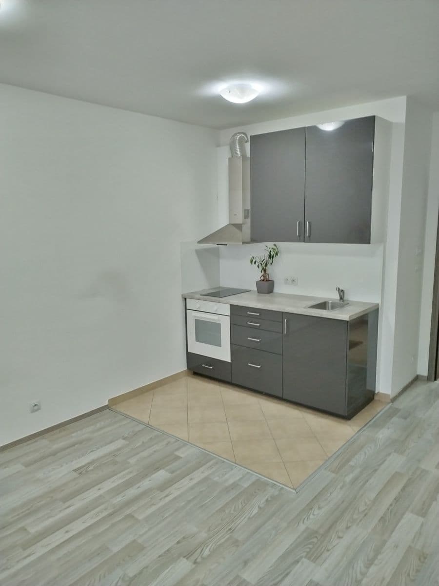 Pronájem bytu 1+kk 26 m², Kadečkové, Praha, Praha Pronájem bytu 1+kk 26 m², Kadečkové, Praha, Praha