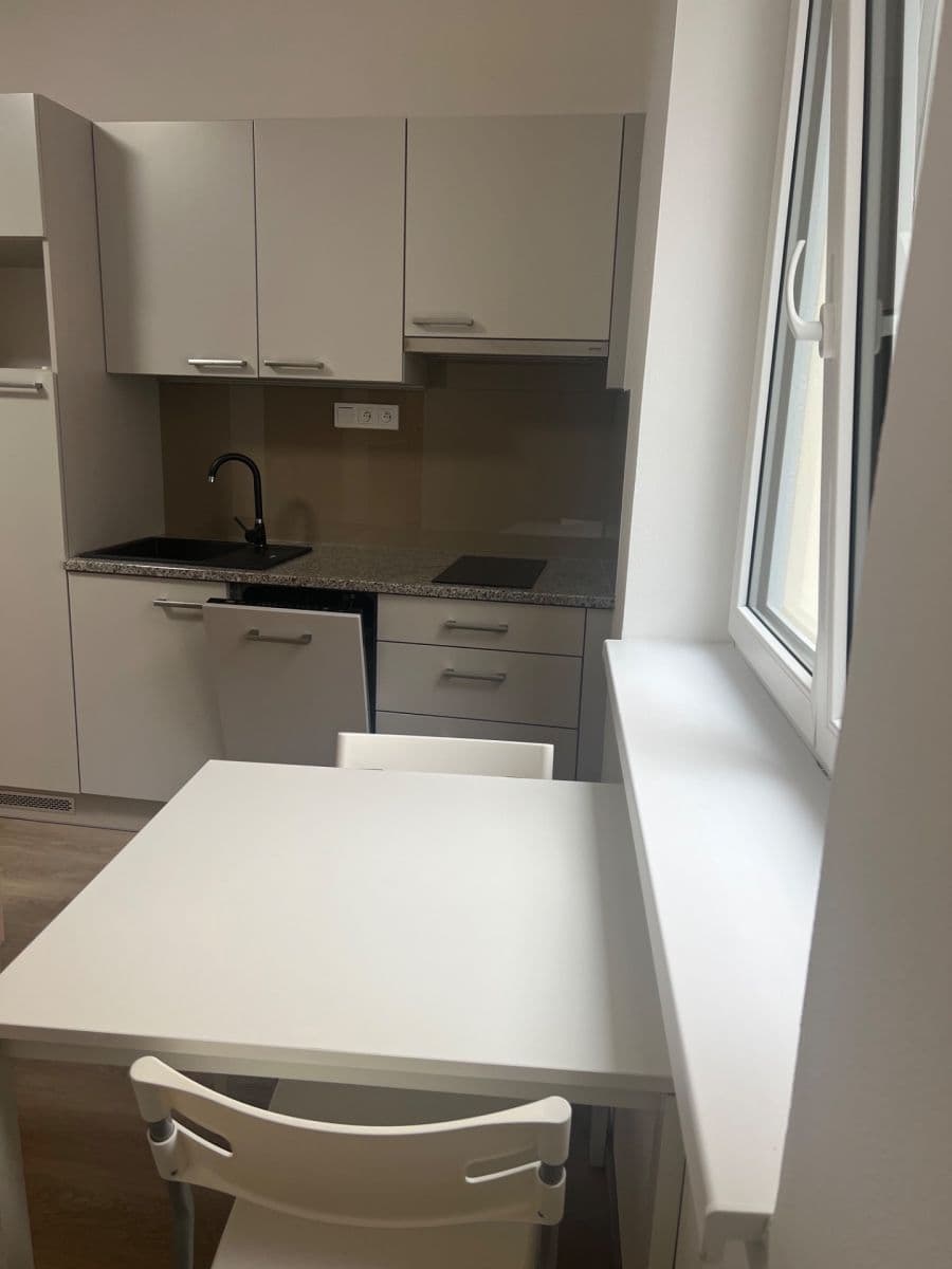 Pronájem bytu 1+kk 30 m², Puškinova, Plzeň, Plzeňský kraj Pronájem bytu 1+kk 30 m², Puškinova, Plzeň, Plzeňský kraj