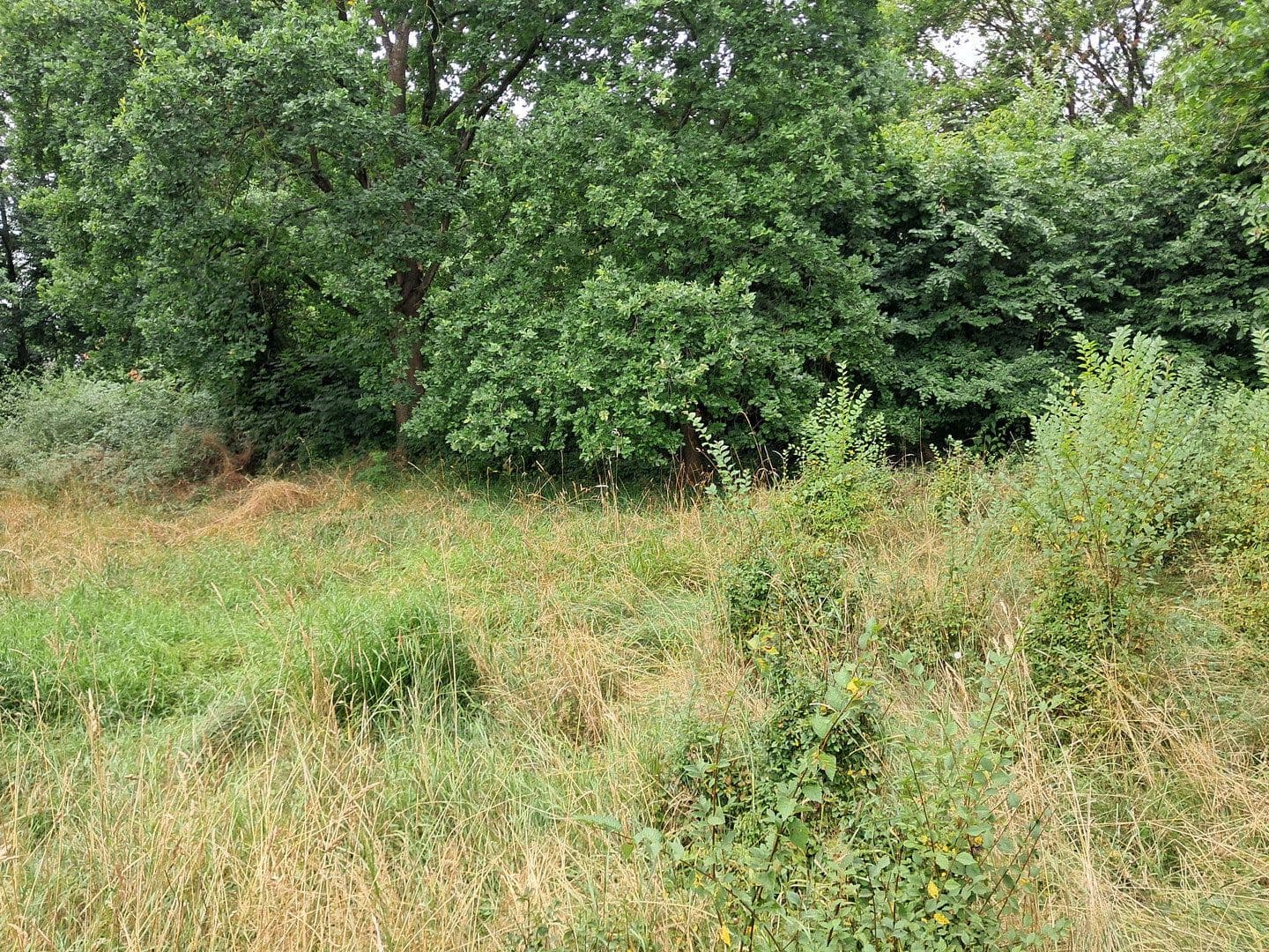 Prodej pozemku 3.550 m², Hitzacker (Elbe), Dolní Sasko Prodej pozemku 3.550 m², Hitzacker (Elbe), Dolní Sasko