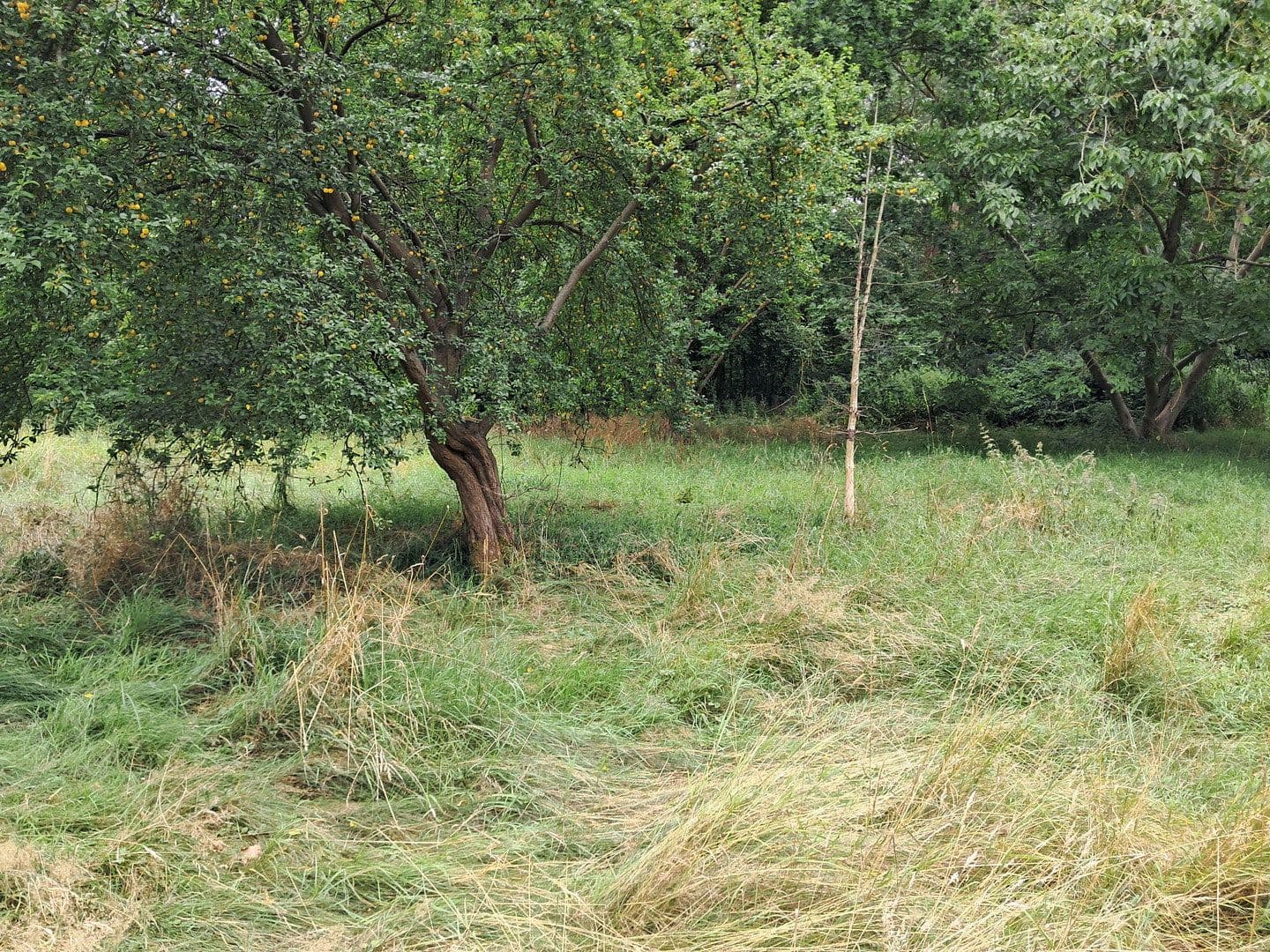 Prodej pozemku 3.550 m², Hitzacker (Elbe), Dolní Sasko Prodej pozemku 3.550 m², Hitzacker (Elbe), Dolní Sasko