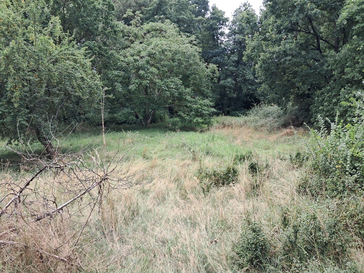 Prodej pozemku 3.550 m², Hitzacker (Elbe), Dolní Sasko Prodej pozemku 3.550 m², Hitzacker (Elbe), Dolní Sasko