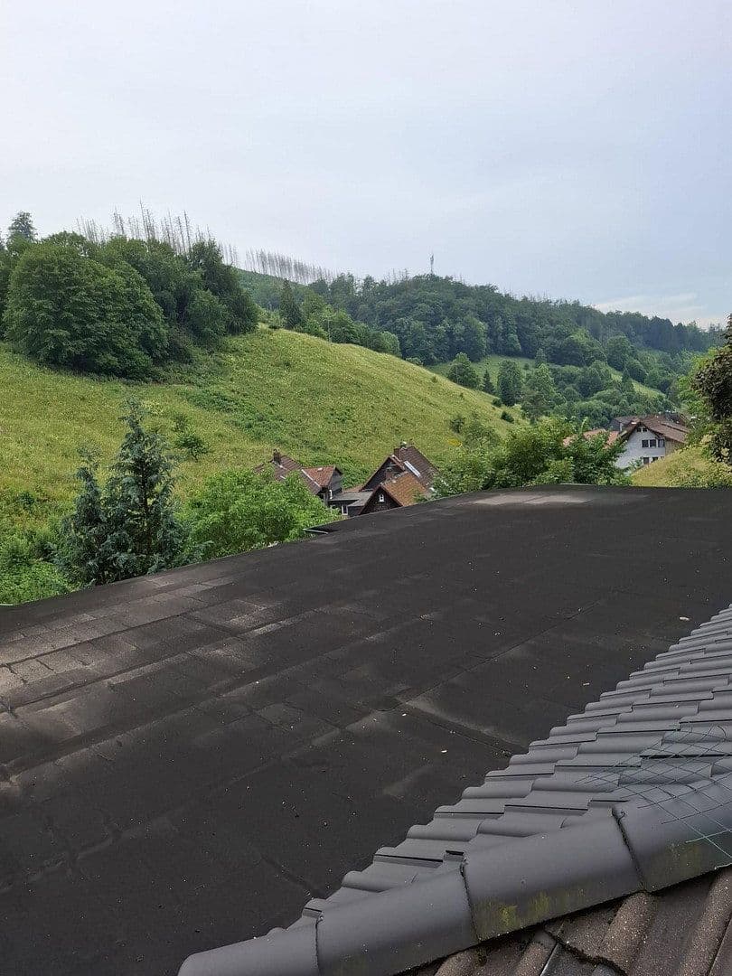 Prodej domu 166 m², pozemek 4.170 m², Osterode am Harz, Dolní Sasko Prodej domu 166 m², pozemek 4.170 m², Osterode am Harz, Dolní Sasko