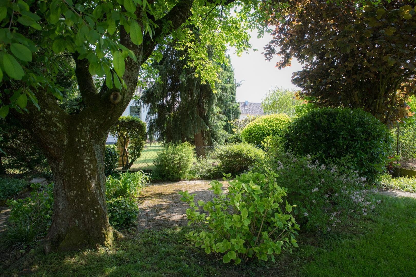 Prodej domu 185 m², pozemek 776 m², Kandel, Porýní-Falc Prodej domu 185 m², pozemek 776 m², Kandel, Porýní-Falc