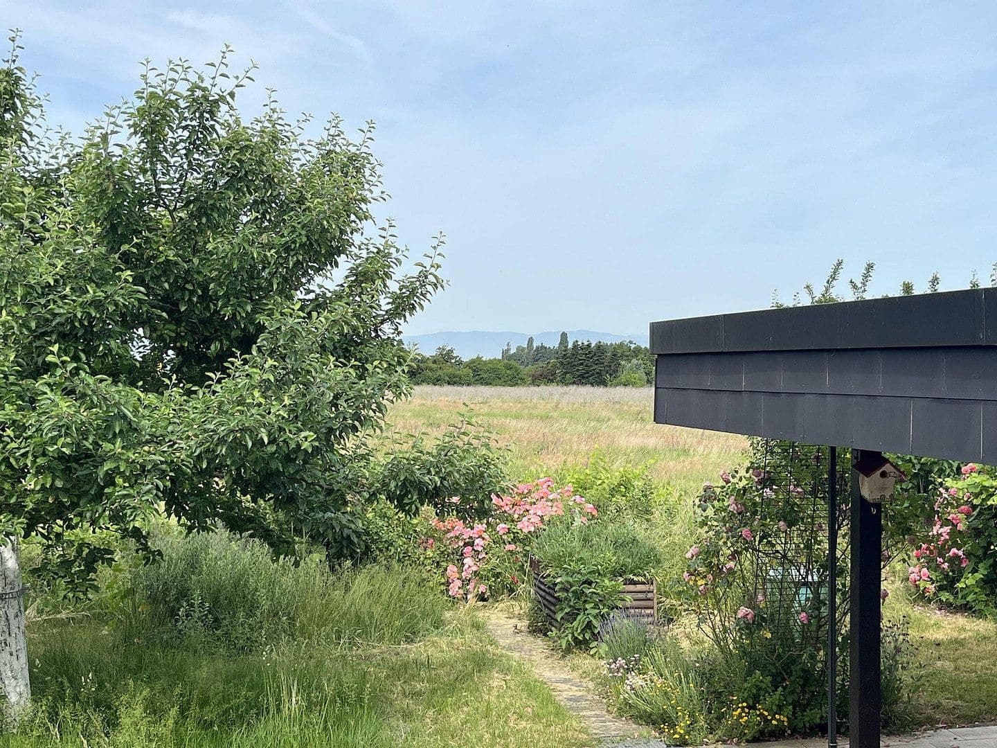 Prodej domu 150 m², pozemek 497 m², Stiegelenweg 6, Staufen im Breisgau, Bádensko-Württembersko Prodej domu 150 m², pozemek 497 m², Stiegelenweg 6, Staufen im Breisgau, Bádensko-Württembersko