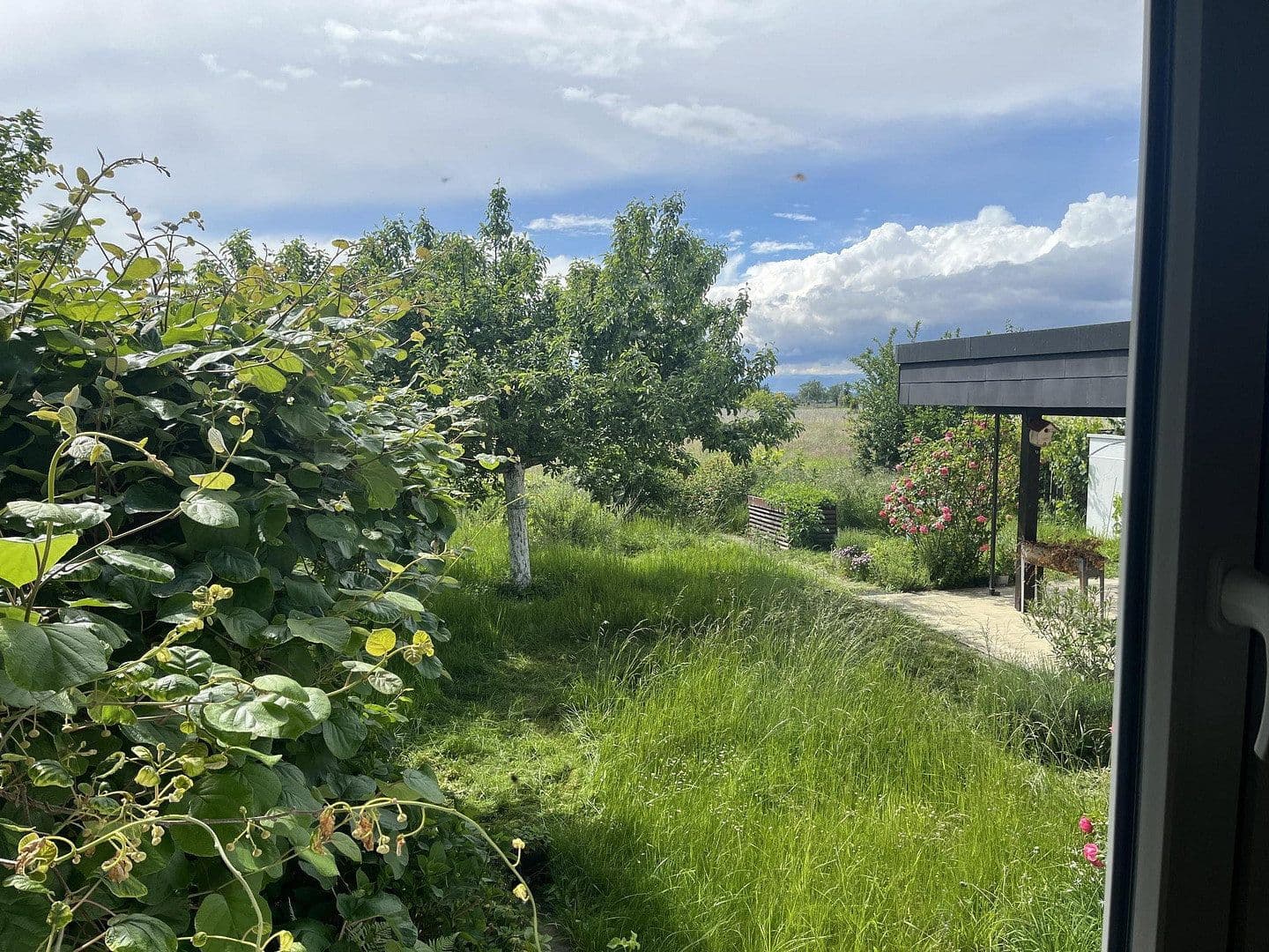 Prodej domu 150 m², pozemek 497 m², Stiegelenweg 6, Staufen im Breisgau, Bádensko-Württembersko Prodej domu 150 m², pozemek 497 m², Stiegelenweg 6, Staufen im Breisgau, Bádensko-Württembersko