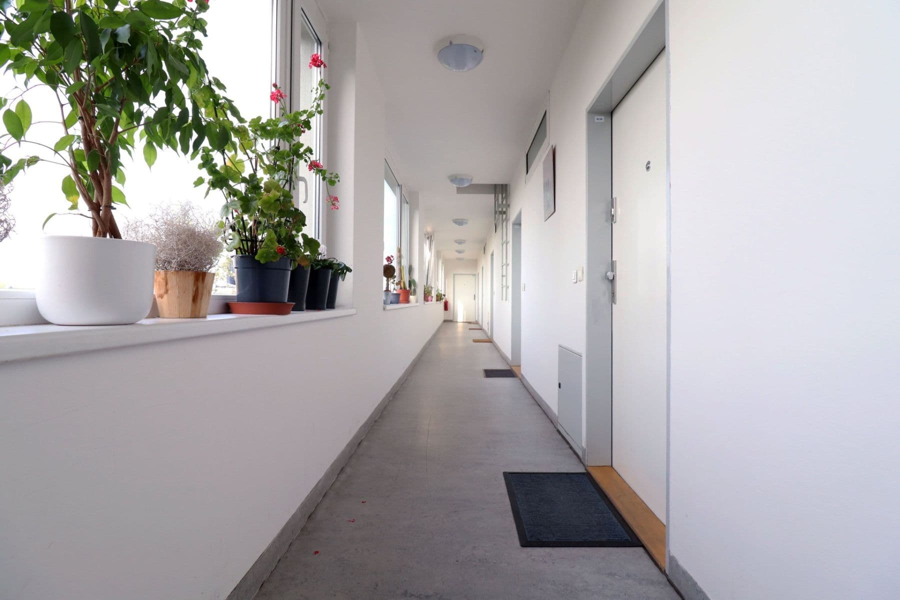 Pronájem bytu 2+kk 44 m², Chotěšovská, Praha, Praha Pronájem bytu 2+kk 44 m², Chotěšovská, Praha, Praha