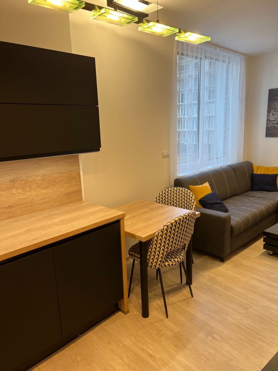 Pronájem bytu 1+kk 26 m², Placzkova, Brno, Jihomoravský kraj Pronájem bytu 1+kk 26 m², Placzkova, Brno, Jihomoravský kraj