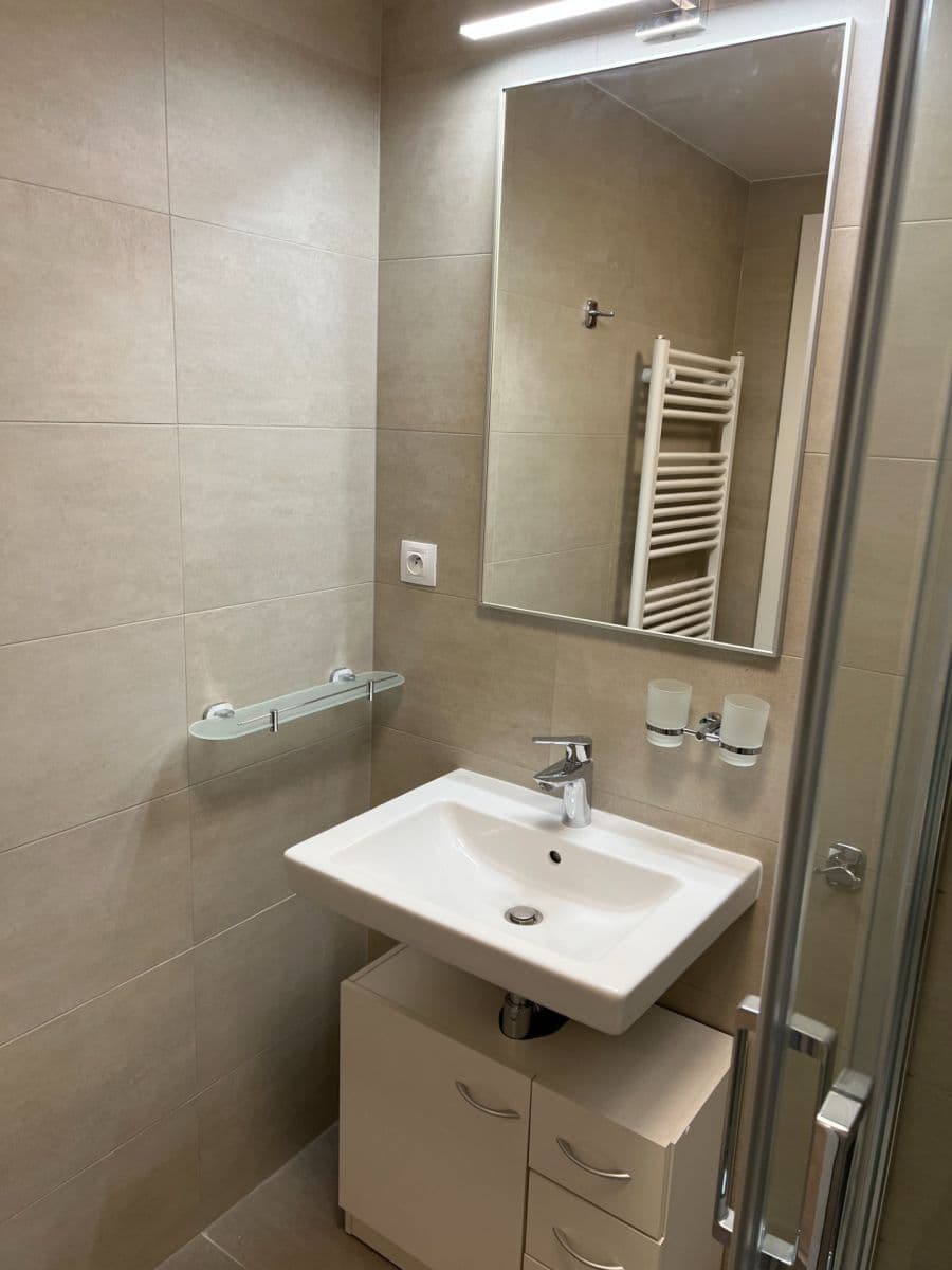 Pronájem bytu 1+kk 26 m², Placzkova, Brno, Jihomoravský kraj Pronájem bytu 1+kk 26 m², Placzkova, Brno, Jihomoravský kraj
