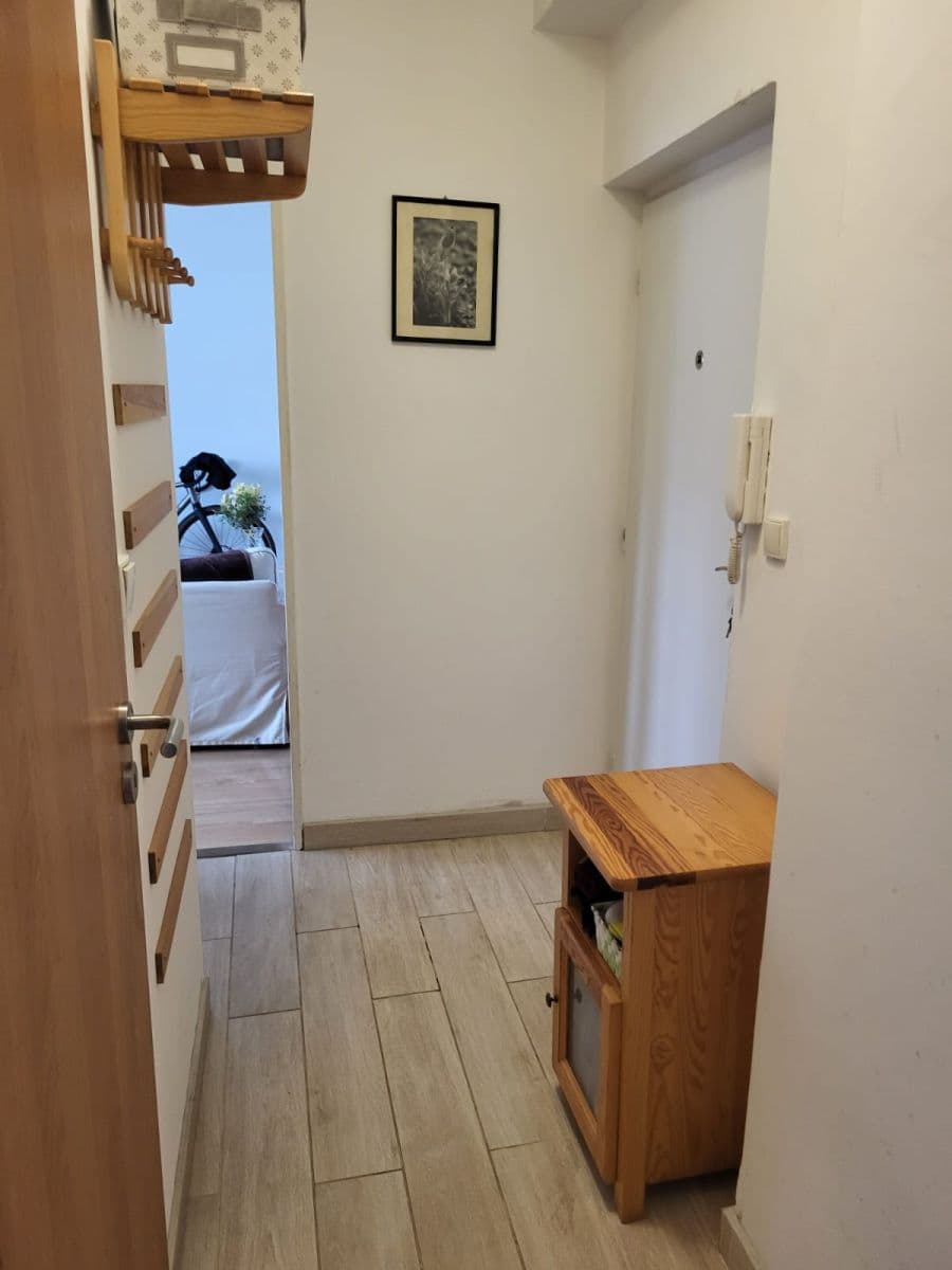 Pronájem bytu 2+kk 45 m², Mojmírovo náměstí, Brno, Jihomoravský kraj Pronájem bytu 2+kk 45 m², Mojmírovo náměstí, Brno, Jihomoravský kraj