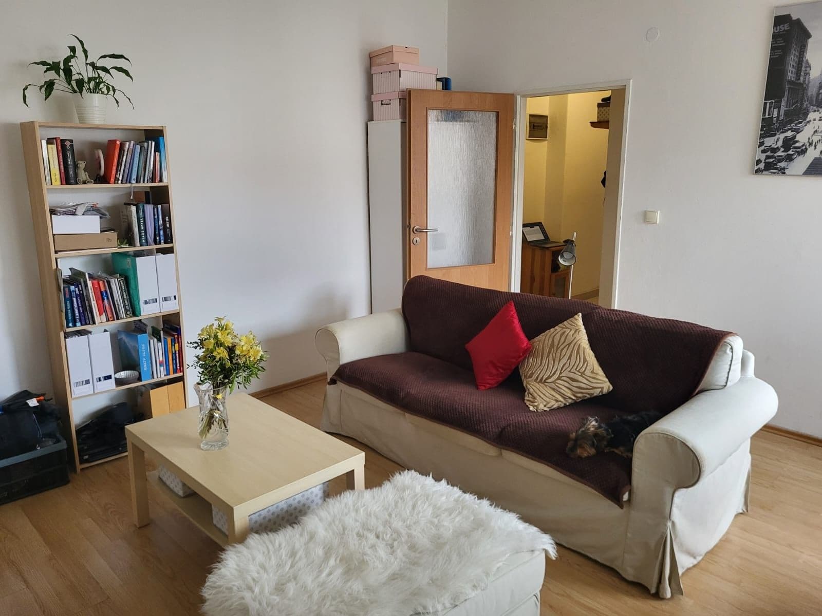Pronájem bytu 2+kk 45 m², Mojmírovo náměstí, Brno, Jihomoravský kraj Pronájem bytu 2+kk 45 m², Mojmírovo náměstí, Brno, Jihomoravský kraj