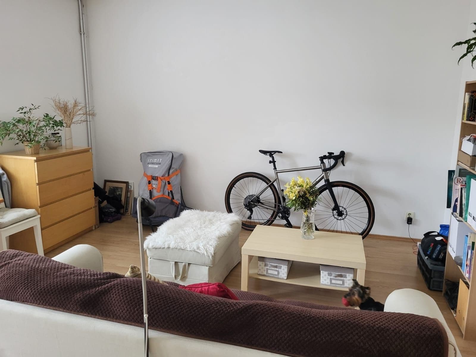 Pronájem bytu 2+kk 45 m², Mojmírovo náměstí, Brno, Jihomoravský kraj Pronájem bytu 2+kk 45 m², Mojmírovo náměstí, Brno, Jihomoravský kraj