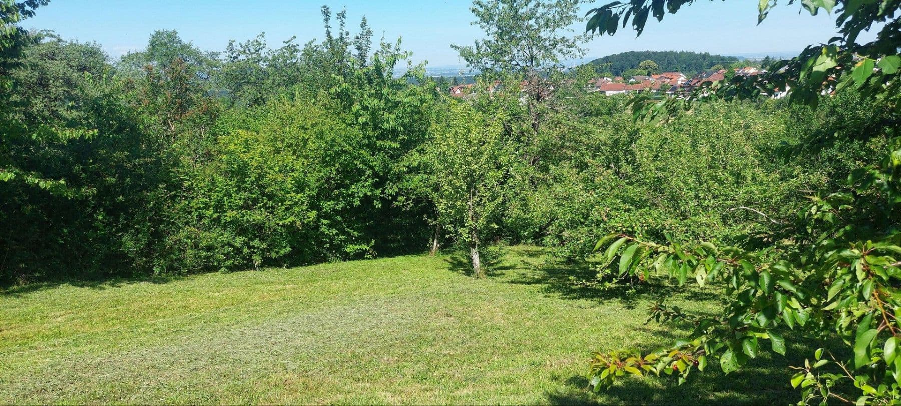 Prodej pozemku 2.033 m², Ob dem Sandweg 1, Winnenden, Bádensko-Württembersko Prodej pozemku 2.033 m², Ob dem Sandweg 1, Winnenden, Bádensko-Württembersko