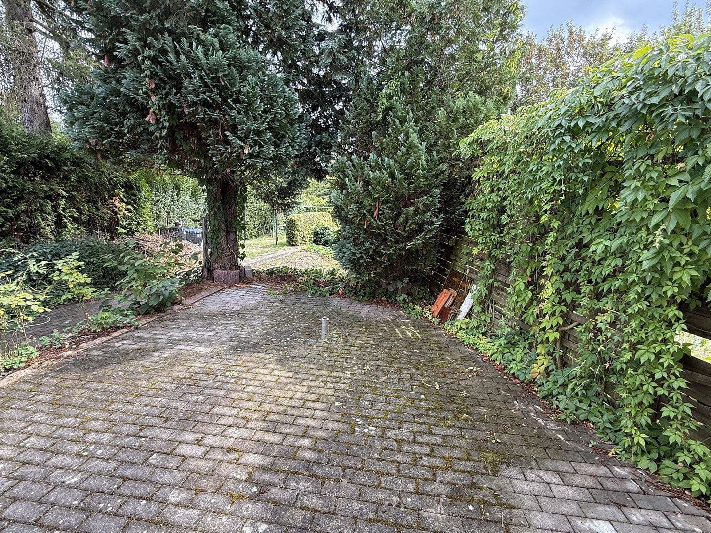 Pronájem bytu 3+1 90 m², Leipziger Straße 8, Bad Schmiedeberg, Sasko-Anhaltsko Pronájem bytu 3+1 90 m², Leipziger Straße 8, Bad Schmiedeberg, Sasko-Anhaltsko