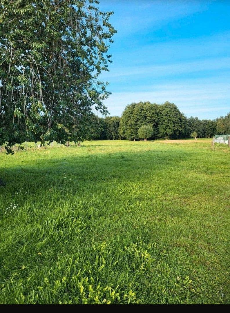 Prodej domu 100 m², pozemek 6.690 m², Kaden 6, Luckau, Braniborsko Prodej domu 100 m², pozemek 6.690 m², Kaden 6, Luckau, Braniborsko