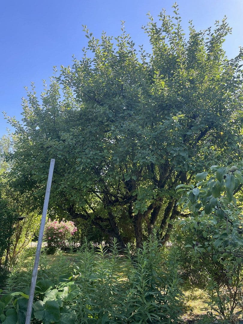 Prodej pozemku 400 m², Waldhornstraße 104, München, Bavorsko Prodej pozemku 400 m², Waldhornstraße 104, München, Bavorsko