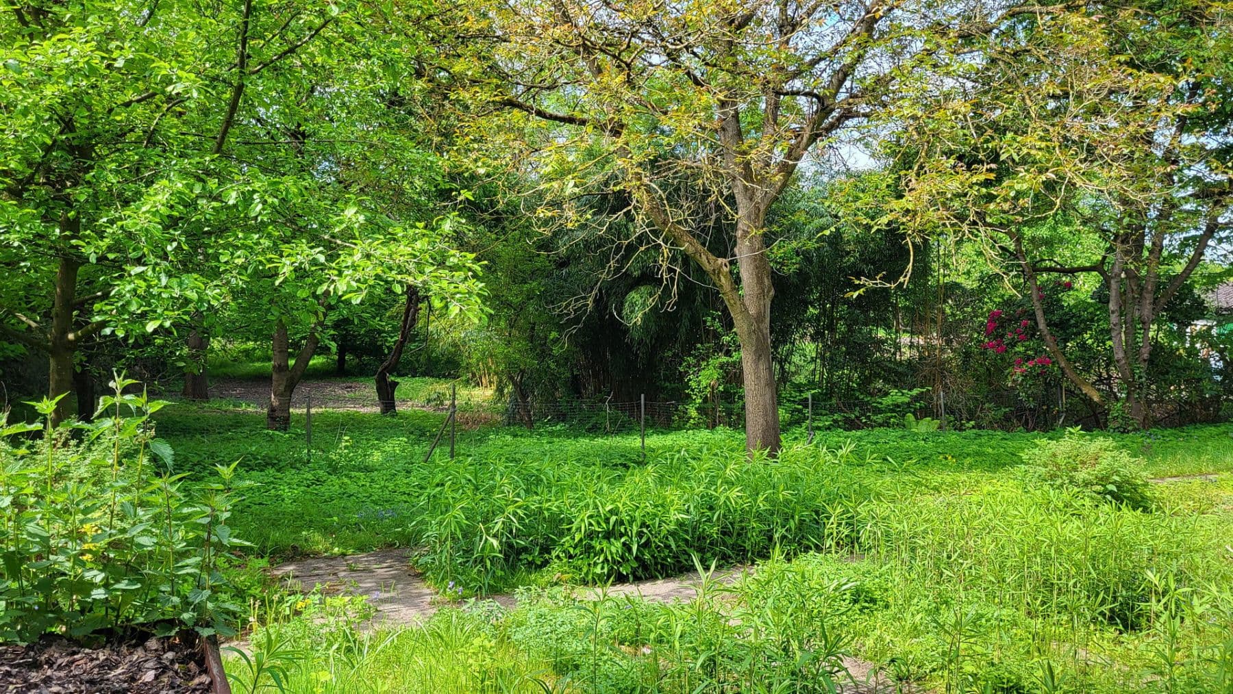 Prodej pozemku 550 m², Buxtehuder Straße 3, Moisburg, Dolní Sasko Prodej pozemku 550 m², Buxtehuder Straße 3, Moisburg, Dolní Sasko