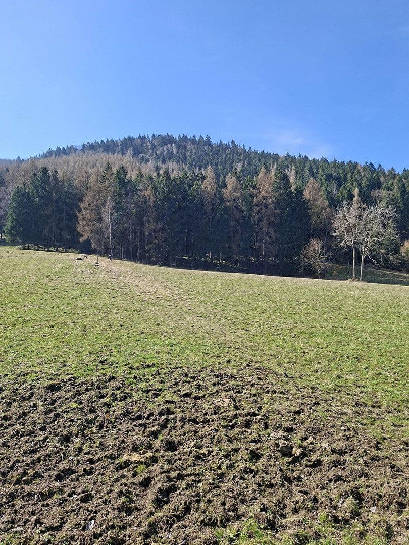 Prodej domu 100 m², pozemek 1.300 m², Hauptstraße 139, Großschönau, Sasko Prodej domu 100 m², pozemek 1.300 m², Hauptstraße 139, Großschönau, Sasko