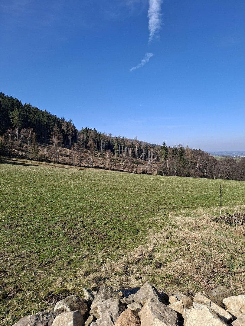 Prodej domu 100 m², pozemek 1.300 m², Hauptstraße 139, Großschönau, Sasko Prodej domu 100 m², pozemek 1.300 m², Hauptstraße 139, Großschönau, Sasko