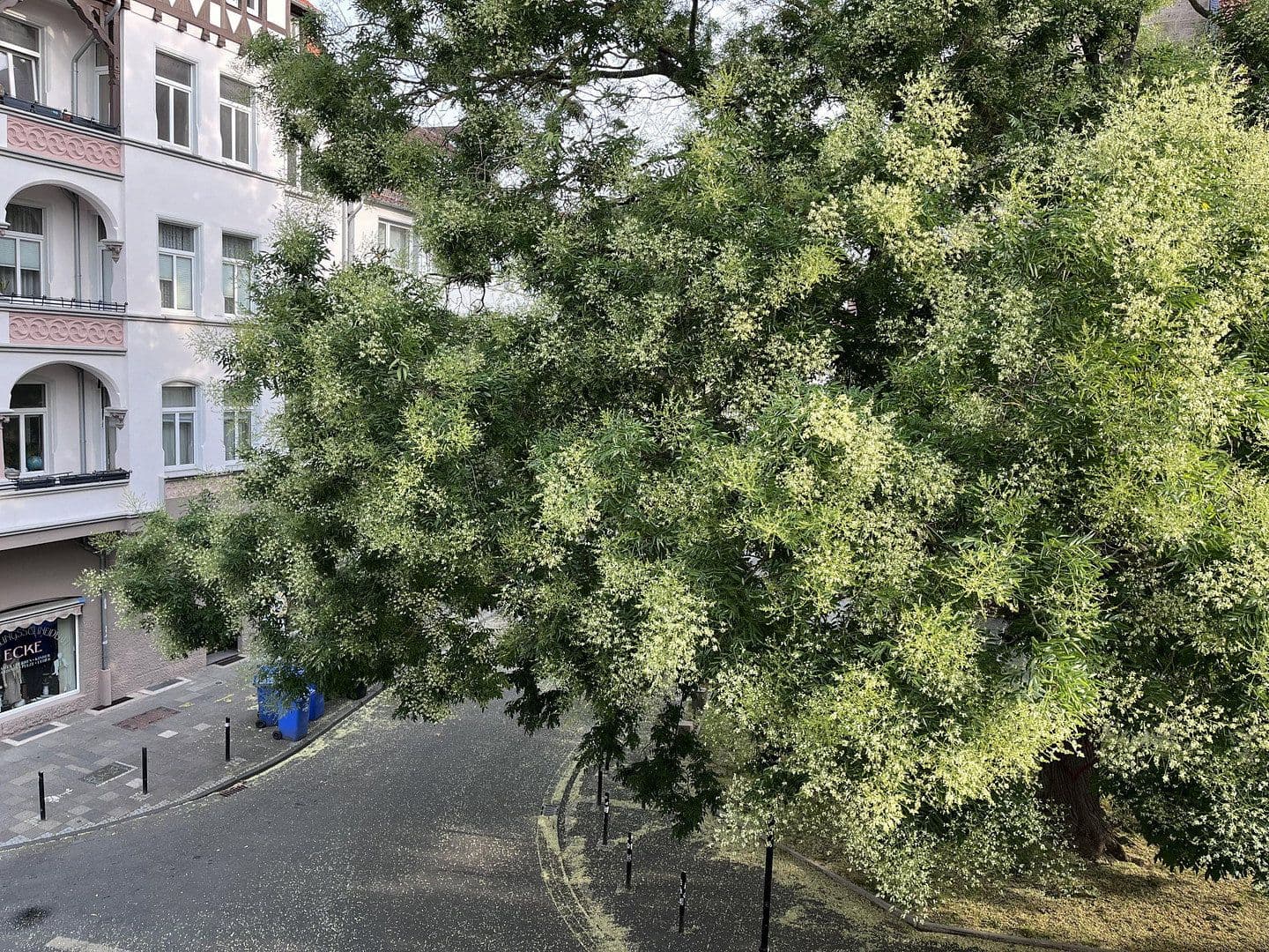 Pronájem bytu 2+1 39 m², Goschenstr.76, Hildesheim, Dolní Sasko Pronájem bytu 2+1 39 m², Goschenstr.76, Hildesheim, Dolní Sasko