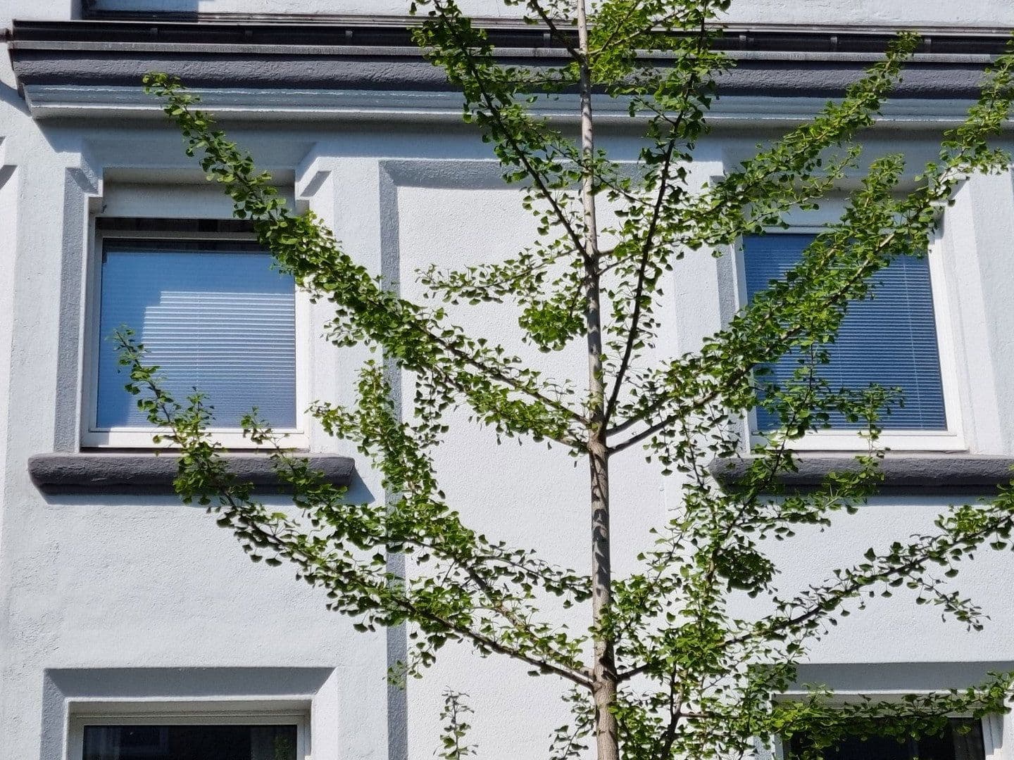 Pronájem bytu 2+1 41 m², Lippestraße 9, Duisburg, Severní Porýní-Vestfálsko Pronájem bytu 2+1 41 m², Lippestraße 9, Duisburg, Severní Porýní-Vestfálsko