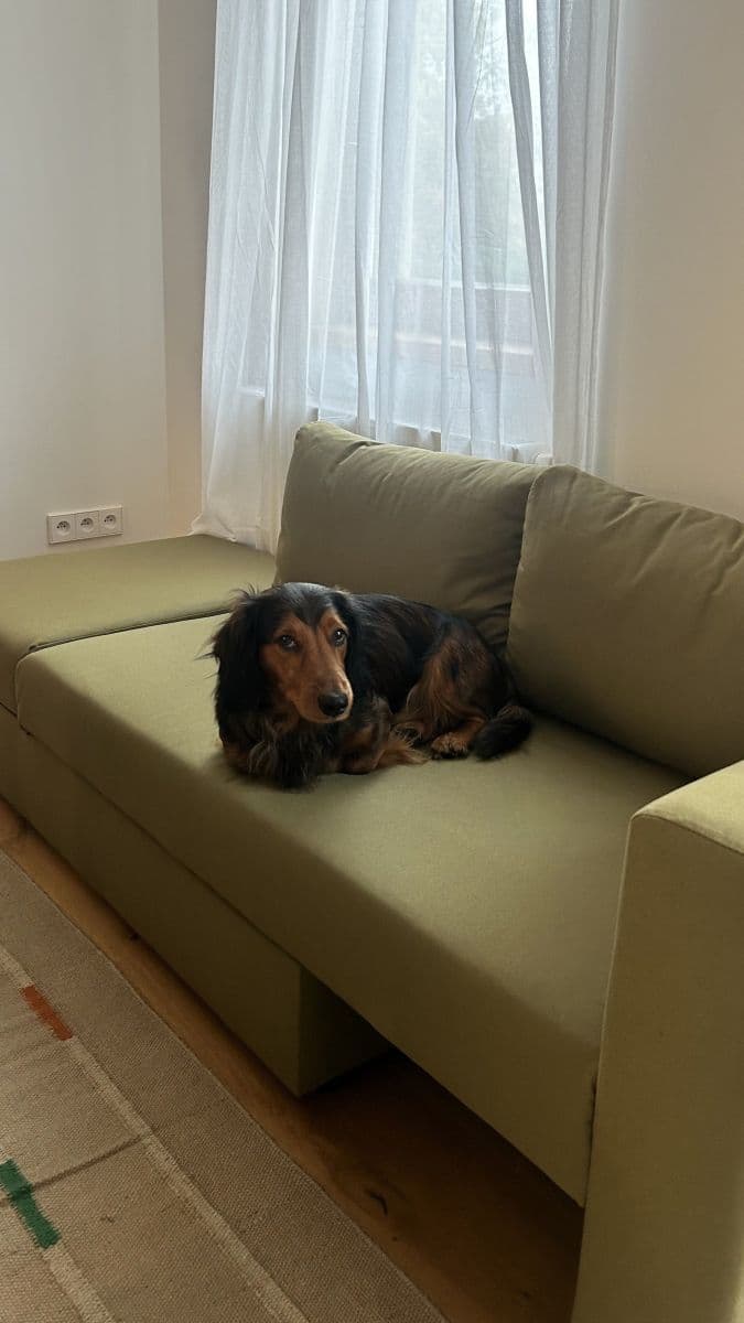 Pronájem bytu 32 m², Lumírova, Praha, Praha Pronájem bytu 32 m², Lumírova, Praha, Praha