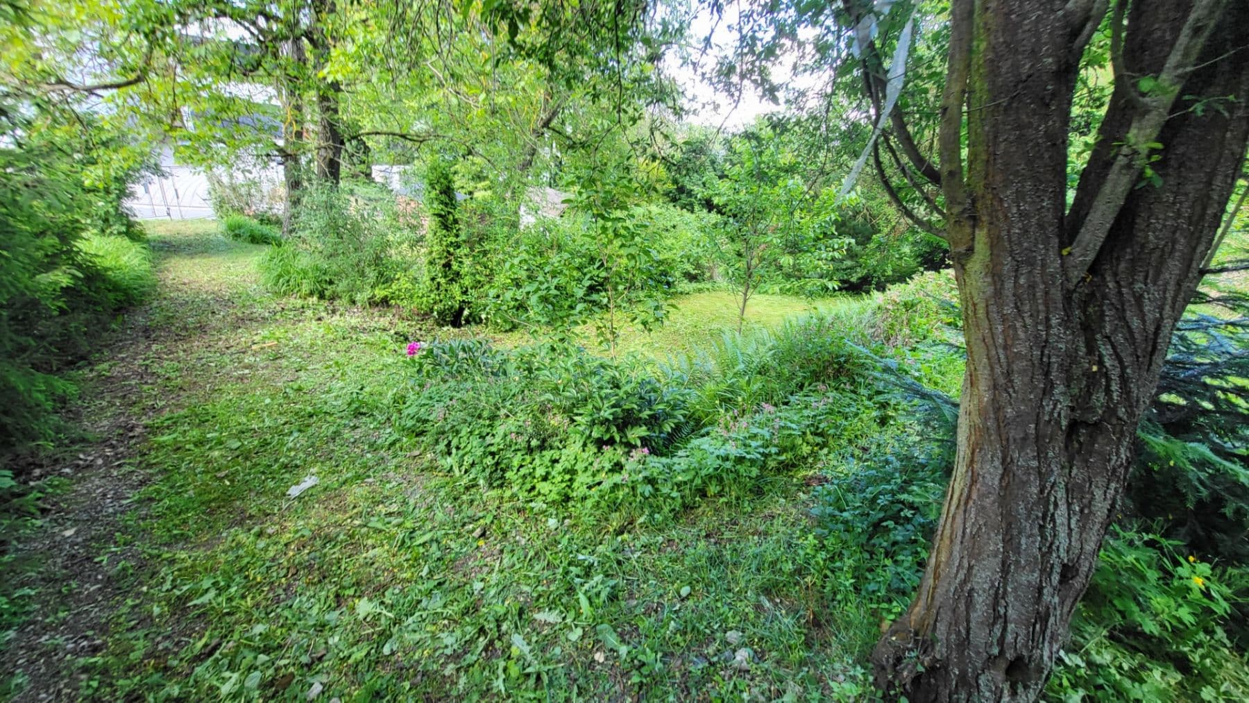 Prodej pozemku 1.087 m², Muškátová, Brno, Jihomoravský kraj Prodej pozemku 1.087 m², Muškátová, Brno, Jihomoravský kraj