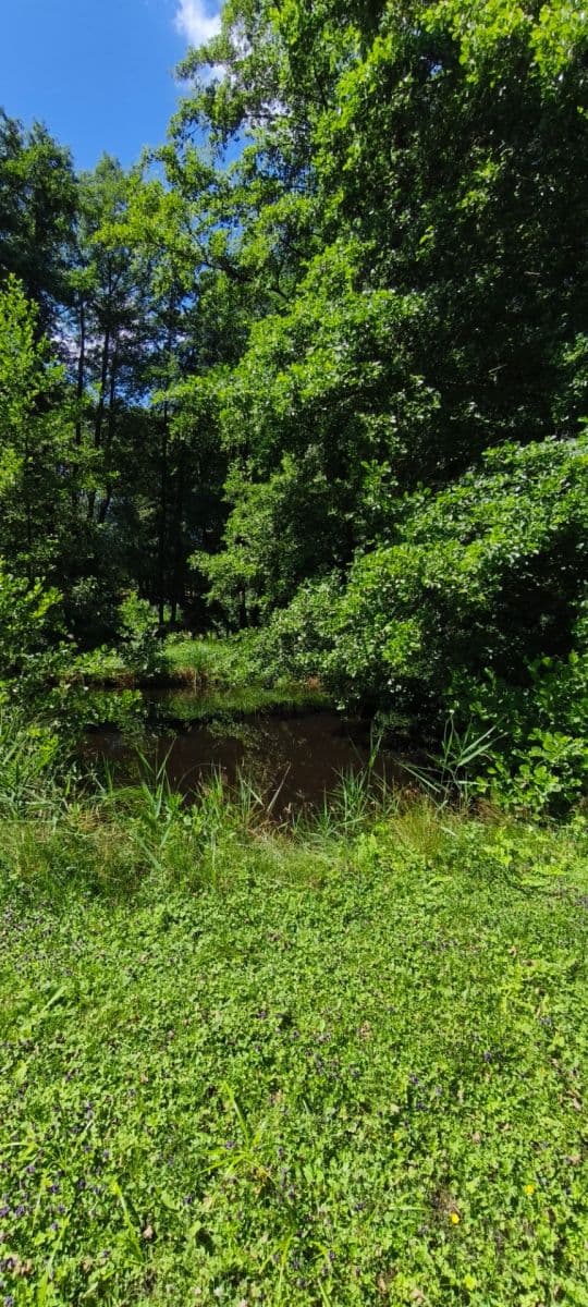 Prodej pozemku 1.608 m², Ujkovice, Středočeský kraj Prodej pozemku 1.608 m², Ujkovice, Středočeský kraj