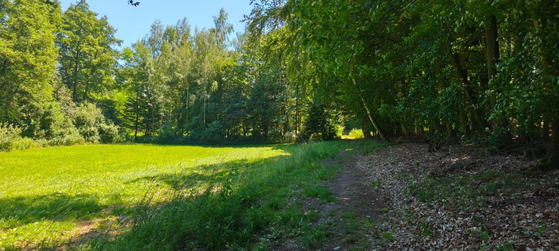 Prodej pozemku 1.608 m², Ujkovice, Středočeský kraj Prodej pozemku 1.608 m², Ujkovice, Středočeský kraj