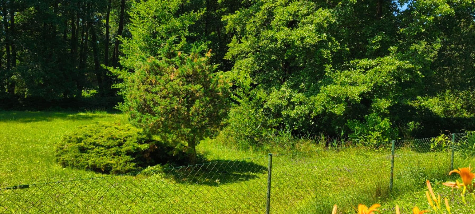 Prodej pozemku 1.608 m², Ujkovice, Středočeský kraj Prodej pozemku 1.608 m², Ujkovice, Středočeský kraj