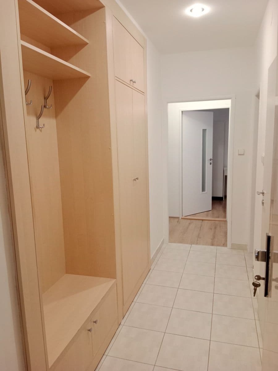 Pronájem bytu 2+1 53 m², Hlinky, Brno, Jihomoravský kraj Pronájem bytu 2+1 53 m², Hlinky, Brno, Jihomoravský kraj