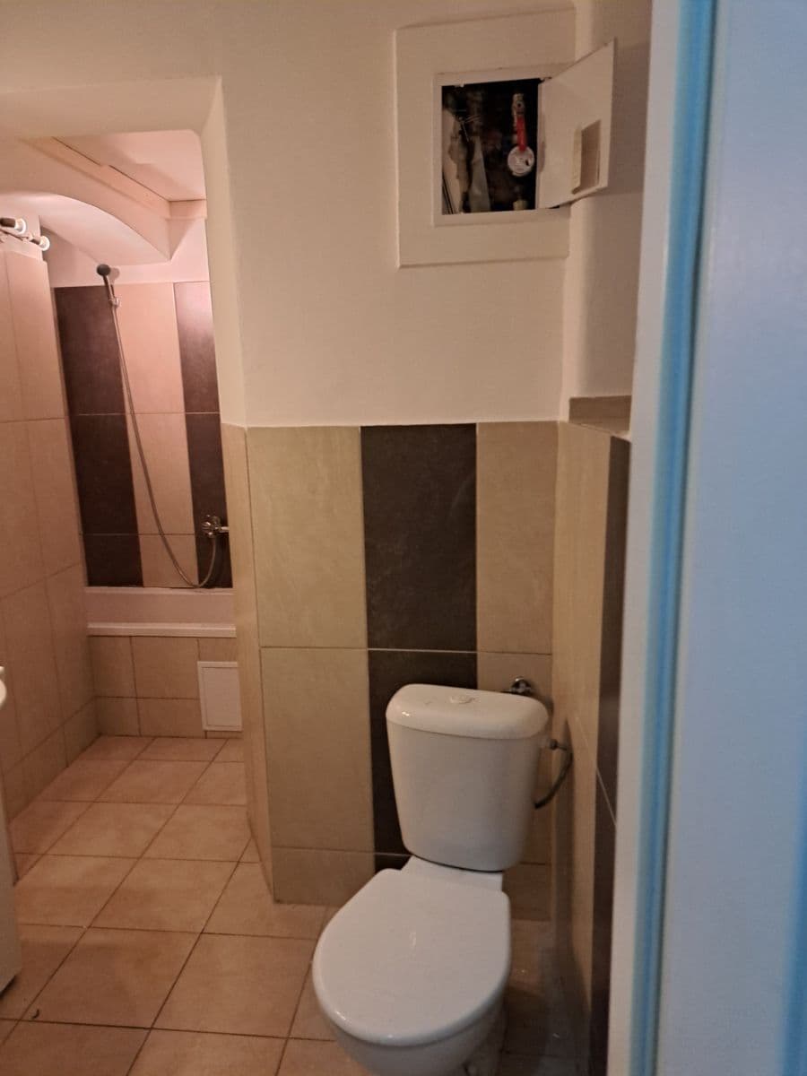 Pronájem bytu 2+1 74 m², Těšnov, Praha, Praha Pronájem bytu 2+1 74 m², Těšnov, Praha, Praha