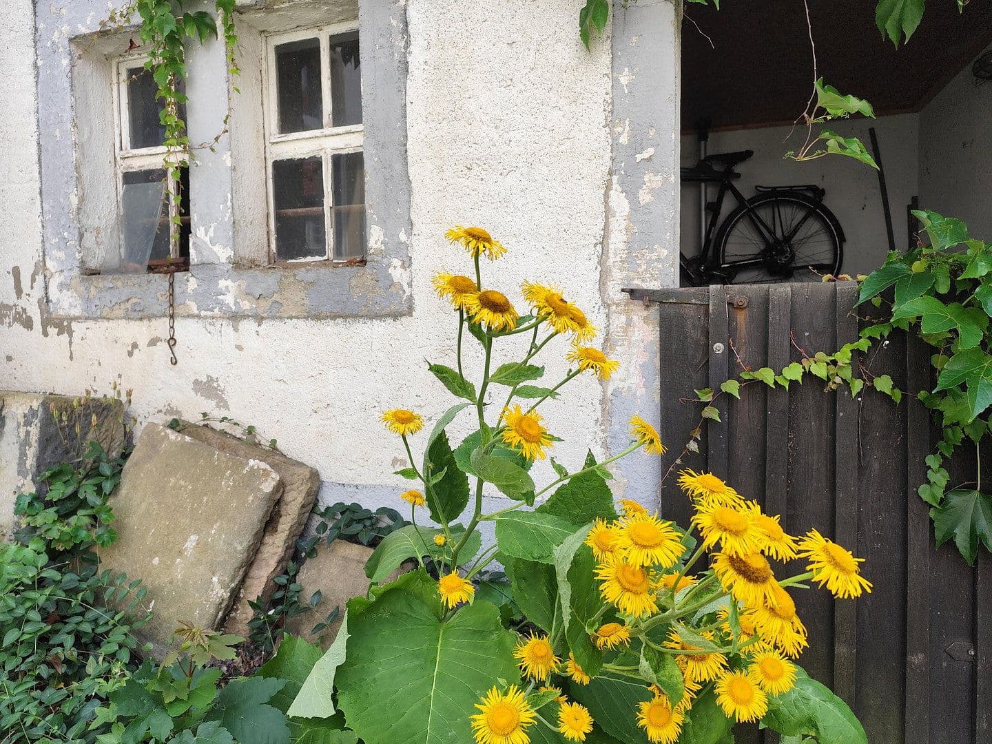 Prodej domu 157 m², pozemek 1.920 m², Zur Hohle 2, Dresden, Sasko Prodej domu 157 m², pozemek 1.920 m², Zur Hohle 2, Dresden, Sasko