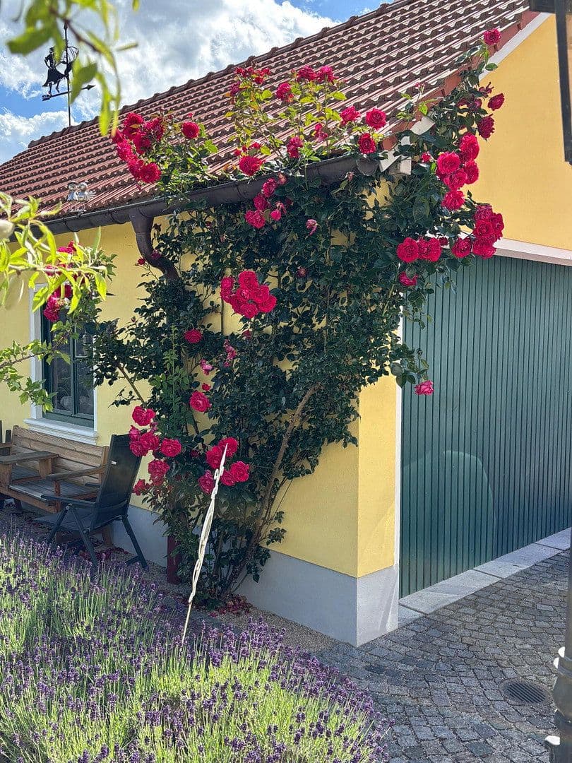 Prodej domu 200 m², pozemek 569 m², Gachenbach, Bavorsko Prodej domu 200 m², pozemek 569 m², Gachenbach, Bavorsko