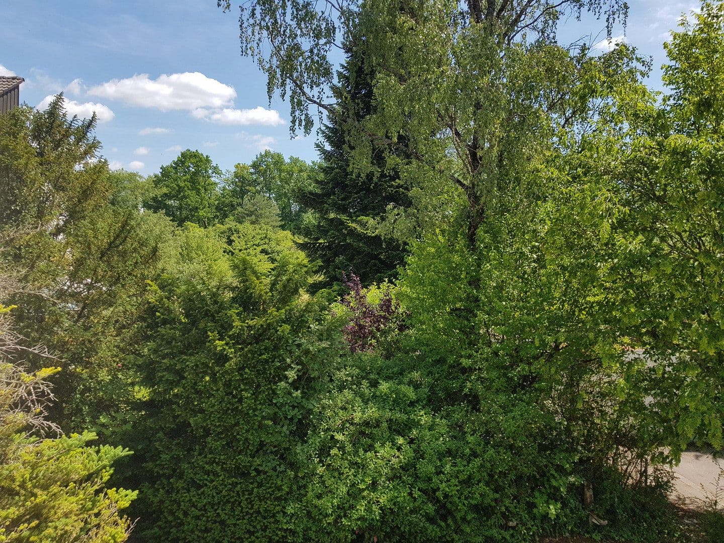 Prodej domu 127 m², pozemek 261 m², Grasbrunn, Bavorsko Prodej domu 127 m², pozemek 261 m², Grasbrunn, Bavorsko