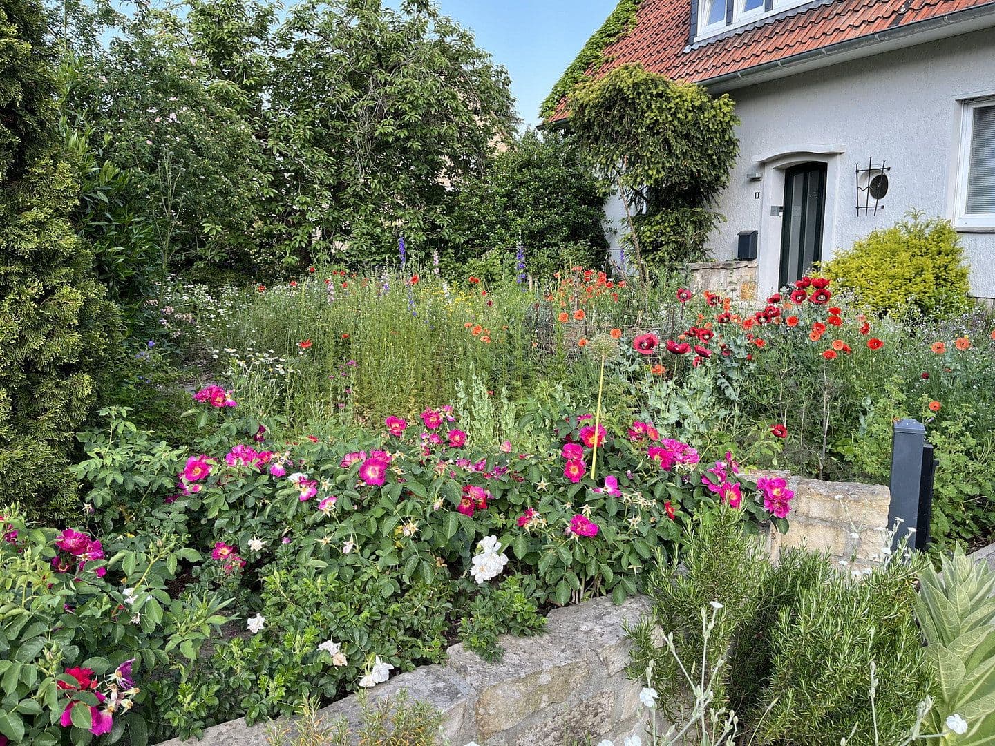 Prodej domu 173 m², pozemek 766 m², Wunstorf, Dolní Sasko Prodej domu 173 m², pozemek 766 m², Wunstorf, Dolní Sasko