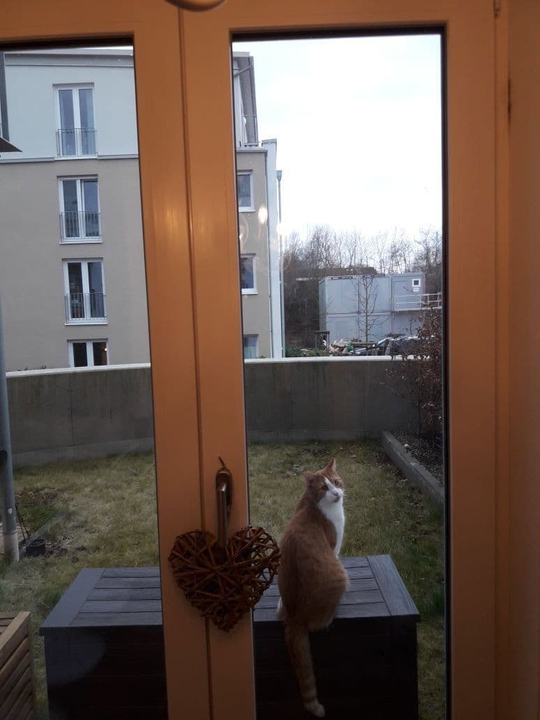 Pronájem bytu 2+kk 80 m², Hertha-Genzmer-Strasse 57, Wiesbaden, Hessen Pronájem bytu 2+kk 80 m², Hertha-Genzmer-Strasse 57, Wiesbaden, Hessen