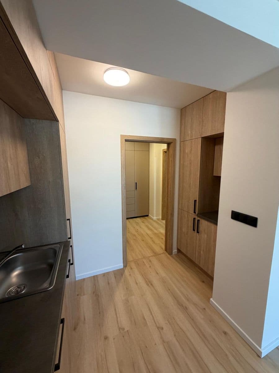 Pronájem bytu 1+kk 43 m², Nad dědinou, Brno, Jihomoravský kraj Pronájem bytu 1+kk 43 m², Nad dědinou, Brno, Jihomoravský kraj