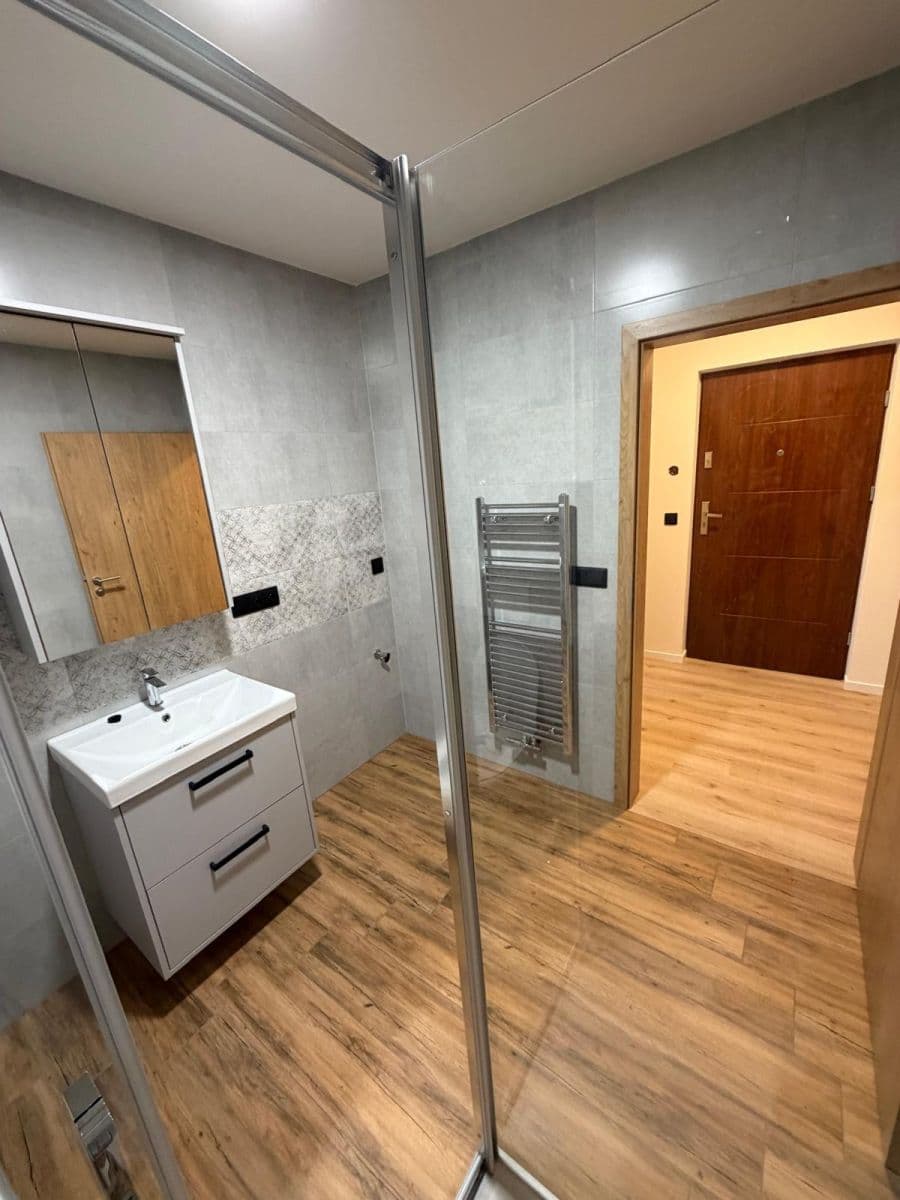 Pronájem bytu 1+kk 43 m², Nad dědinou, Brno, Jihomoravský kraj Pronájem bytu 1+kk 43 m², Nad dědinou, Brno, Jihomoravský kraj