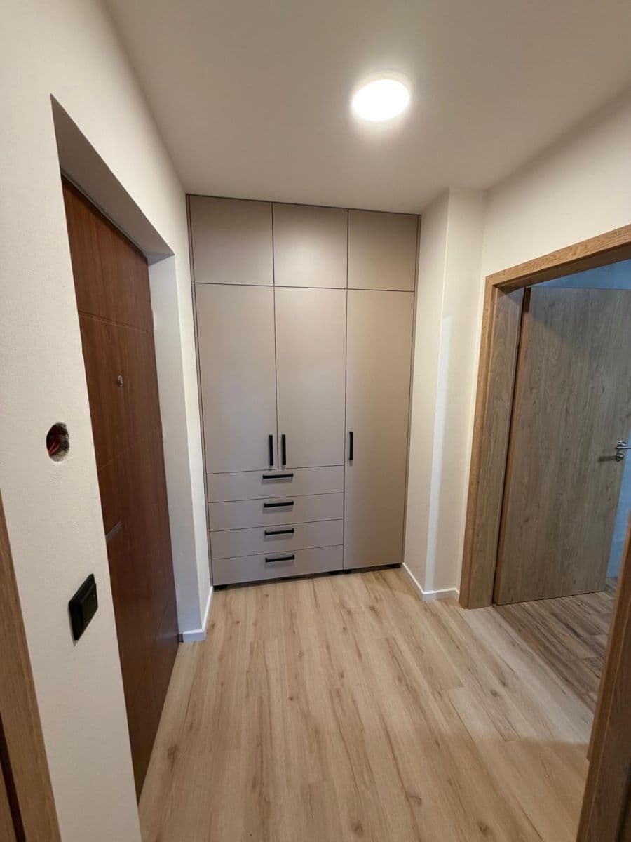Pronájem bytu 1+kk 43 m², Nad dědinou, Brno, Jihomoravský kraj Pronájem bytu 1+kk 43 m², Nad dědinou, Brno, Jihomoravský kraj