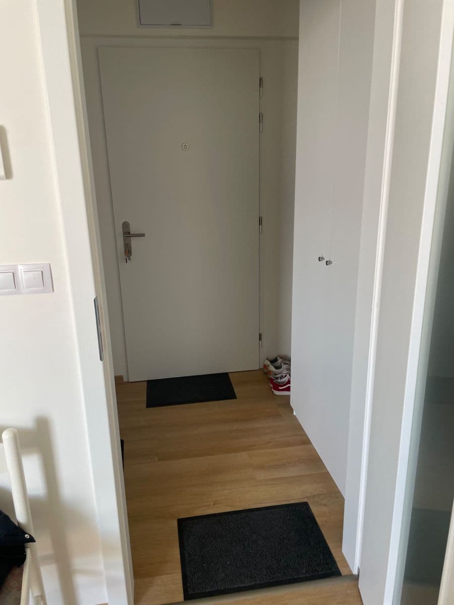 Pronájem bytu 1+kk 28 m², Placzkova, Brno, Jihomoravský kraj Pronájem bytu 1+kk 28 m², Placzkova, Brno, Jihomoravský kraj