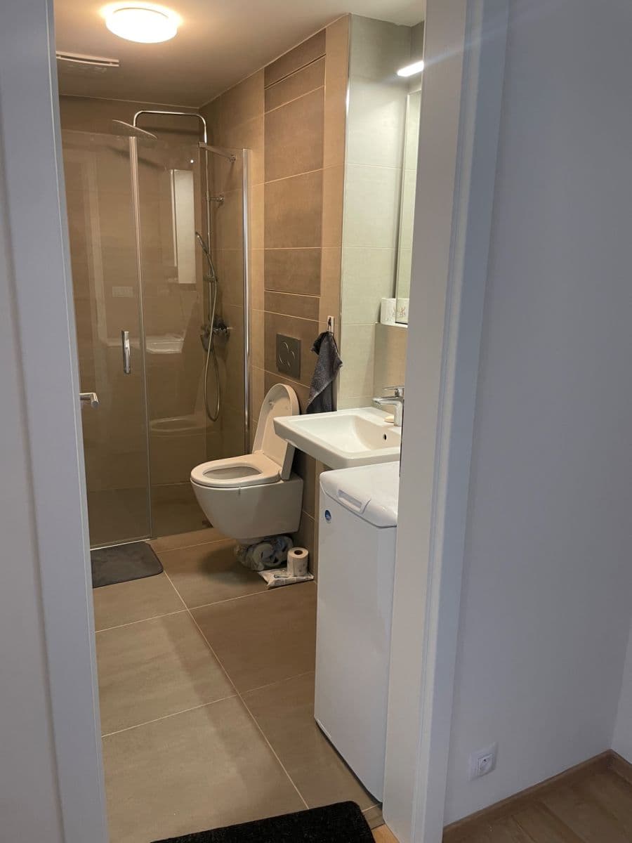 Pronájem bytu 1+kk 28 m², Placzkova, Brno, Jihomoravský kraj Pronájem bytu 1+kk 28 m², Placzkova, Brno, Jihomoravský kraj