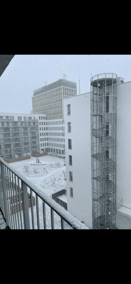 Pronájem bytu 1+kk 28 m², Placzkova, Brno, Jihomoravský kraj Pronájem bytu 1+kk 28 m², Placzkova, Brno, Jihomoravský kraj