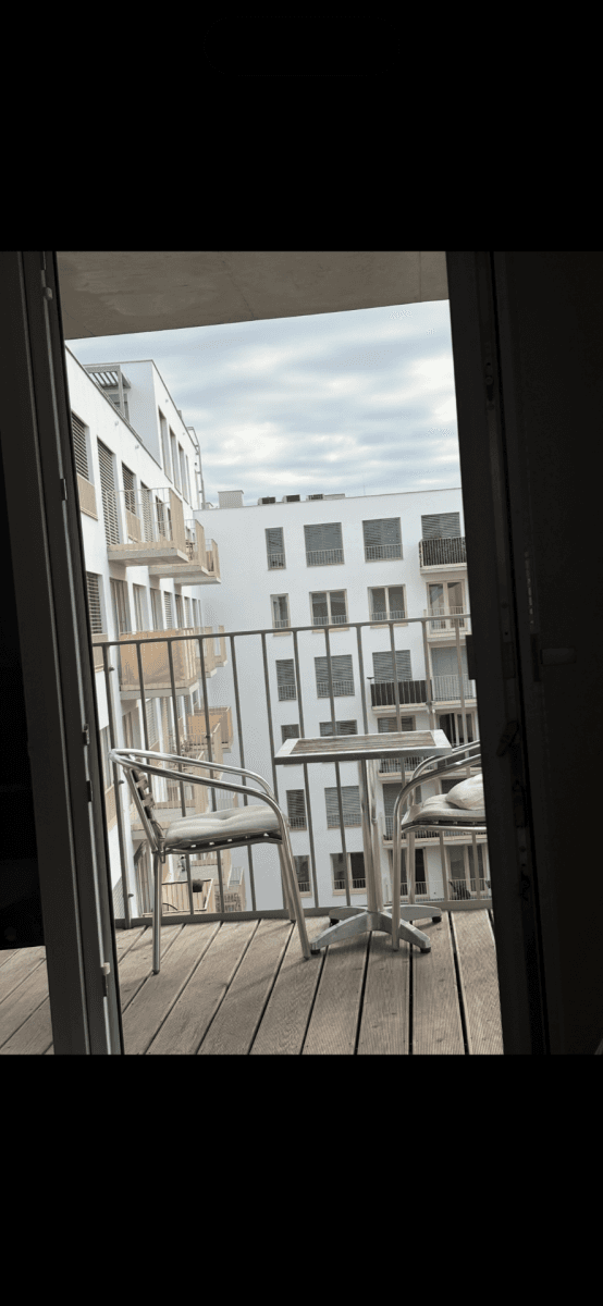 Pronájem bytu 1+kk 28 m², Placzkova, Brno, Jihomoravský kraj Pronájem bytu 1+kk 28 m², Placzkova, Brno, Jihomoravský kraj