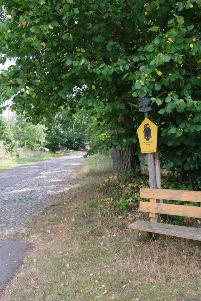 Prodej domu 200 m², pozemek 1.286 m², Zur Burg 10, Rabenstein/Fläming, Braniborsko Prodej domu 200 m², pozemek 1.286 m², Zur Burg 10, Rabenstein/Fläming, Braniborsko