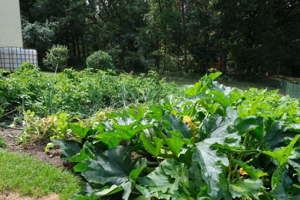 Prodej domu 200 m², pozemek 1.286 m², Zur Burg 10, Rabenstein/Fläming, Braniborsko Prodej domu 200 m², pozemek 1.286 m², Zur Burg 10, Rabenstein/Fläming, Braniborsko