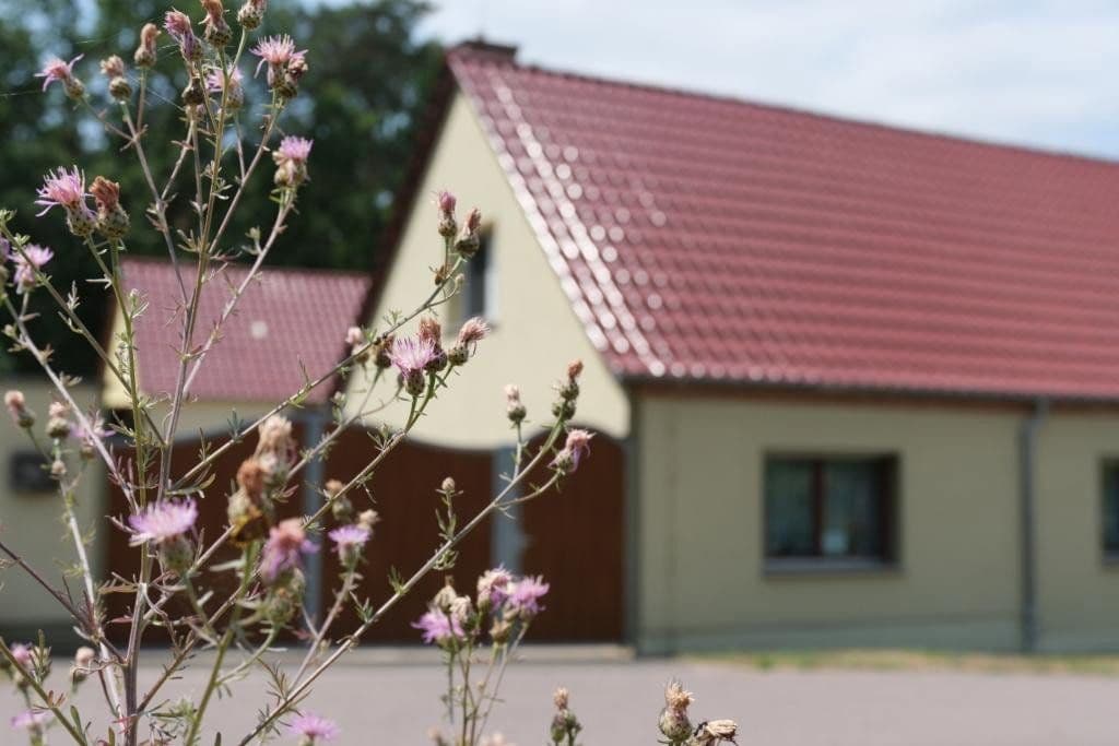 Prodej domu 200 m², pozemek 1.286 m², Zur Burg 10, Rabenstein/Fläming, Braniborsko Prodej domu 200 m², pozemek 1.286 m², Zur Burg 10, Rabenstein/Fläming, Braniborsko